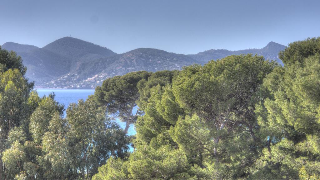 Beau 2 Pieces 3 Etoiles Vue Mer Garage Prive 150M Plages Wifi Cannes Eksteriør billede